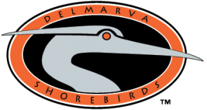 Delmarva-Shorebirds-Logo